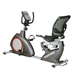 RECUMBENT BIKE TP-870 R