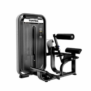 BACK EXTENSION TP-4013