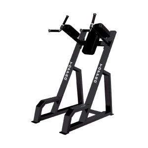VERTICAL KNEE UP/DIP TP-3047