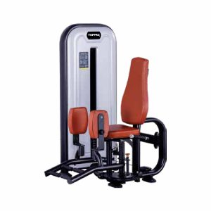 INNER THIGH OUTER THIGH EXTENSION