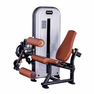 SEATED LEG EXTENSION LEG CURL