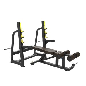 FLAT INCLINE DECLINE BENCH PRESS TP 9901