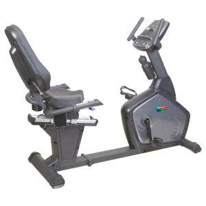 RECUMBENT BIKE TP-6500 R